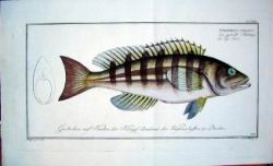 bloch04.jpg
