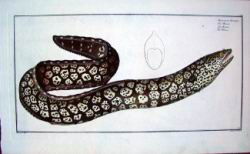bloch05.jpg