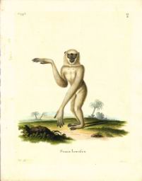 mon05.jpg