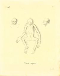 mon06.jpg